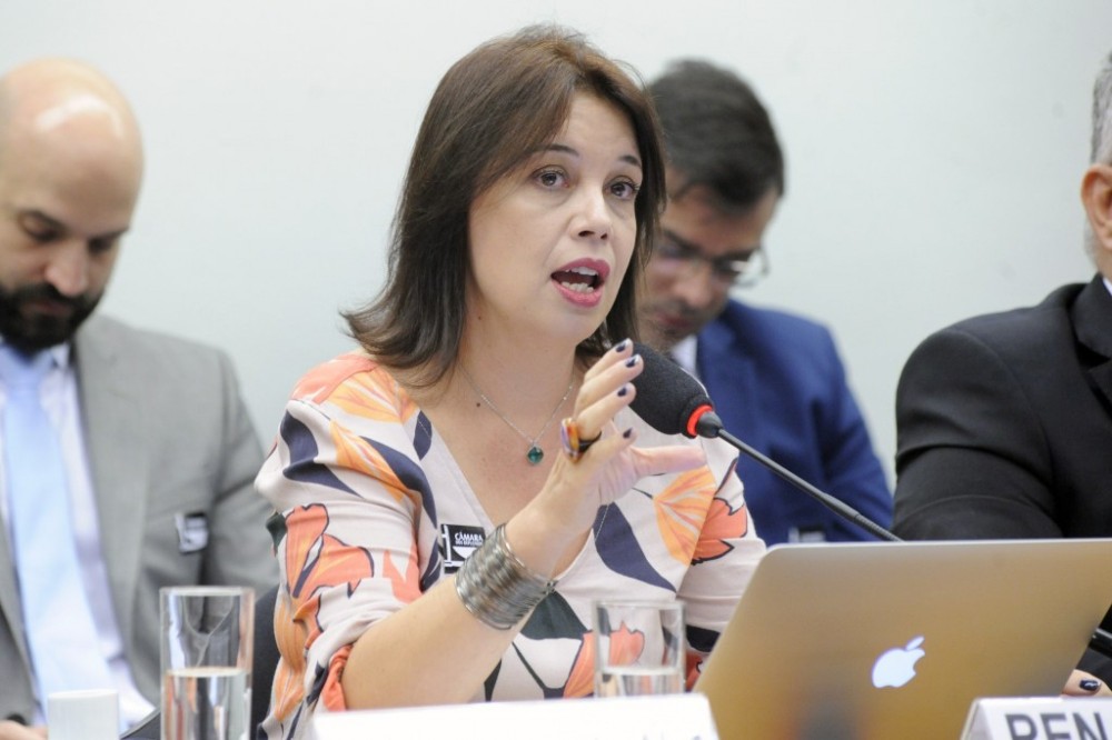 Para Renata Mielli, fusão facilita proselitismo político na programação / Cléo Viana (Câmara)